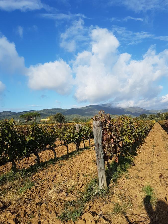 Borgo Al Cielo - Albergo Diffuso Suvereto Dış mekan fotoğraf