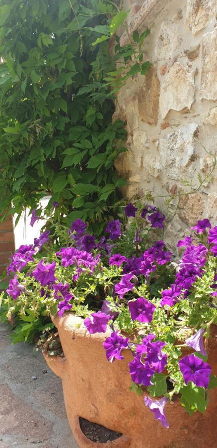 Borgo Al Cielo - Albergo Diffuso Suvereto Dış mekan fotoğraf